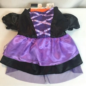  Halloween Hund Haustier Kostüm schwarz lila Hexe Größe M 12 Zoll NEU - Bild 1 von 4