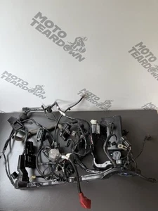TRIUMPH STREET TRIPLE 675R WIRING LOOM Engine Wiring Loom 2013-2016 - Picture 1 of 24