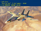 Hobbyboss 81771 1/48 scale “Persian Cat” F-14A TomCat - IRIAF Fighter 2019 New