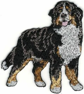 2 1/4" x 2 5/8" Body Bernese Mountain Dog Breed Embroidery Patch - Picture 1 of 1
