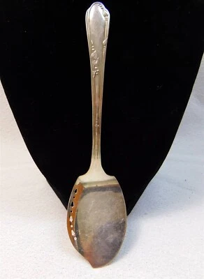 Cuchara de gelatina perforada de 6" placa de plata Rogers Meadowbrook Oneida 1881 Foto 1 de 4