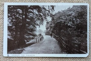 1910 Chorley The Walletts, Lancashire, Raphael Tuck Postcard - Picture 1 of 5