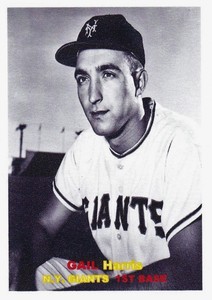 GAIL HARRIS 57 ACEO ART CARD ## BUY 5 GET 1 FREE ## & FREE COMBINED SHIPPING