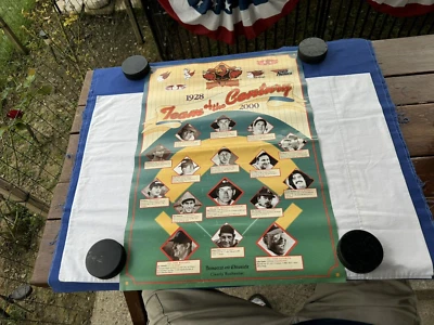 Vintage Poster Rochester Red Wings Team of the Century 1928 - 2000 Baseball IL - Image 1 of 4