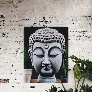 Elevate Your Home Aesthetic with Our 16x20 Buddha Plant Canvas- Modern Art - Picture 1 of 3