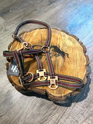 HG HorseGuard Halfter gestreift dark port