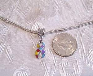 CINTA MULTICOLOR AUTISMO CONCIENCIA COLGANTE PULSERA EUROPEA SOLO ENCANTO - Imagen 1 de 1