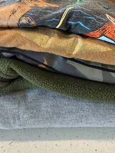 Boys Clothing Lot Size 10/12 (5 pieces) Eddie Bauer, CAT, Timberland, WSU - Picture 1 of 19