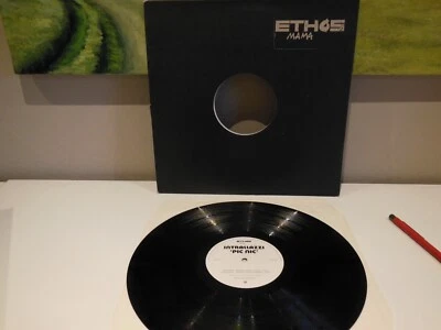 Intrallazzi Pic nic  LP Maxi Vinyl Schallplatte Electr.House - Bild 1 von 2