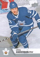 2020-21 Upper Deck AHL Hockey # 131 Joey Anderson