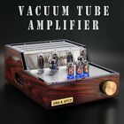 VAT219 2-channel Vacuum Tube Power Amplifier with Nixie Tube display