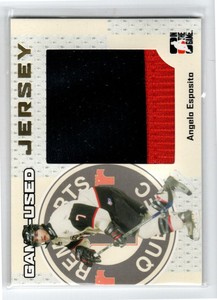2006-07 ITG Heroes and Prospects Jerseys Gold #GUJ33 Angelo Esposito