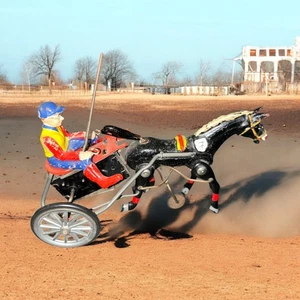 VTG Arabian Sulky Horse Racing Tin Wind-Up w/Original Box & Key, D.G.M.  WORKING - Picture 1 of 10