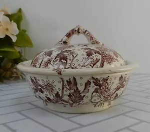 Dunn Bennett Co. England Transferware portasapone modello imperiale con colino - Foto 1 di 9