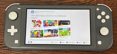 Consola Portátil Nintendo Switch Lite 32GB Gris (Excelente Estado + Cargador) Foto 1 de 4