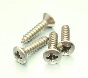Mk1 Ford Escort Reverse Light Lens Screws Stainless RS2000 Mexico RS1600 AVO - Picture 1 of 4