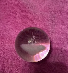 "Esfera de bola de cristal con árbol o planta diseñada con láser 2""" - Imagen 1 de 9