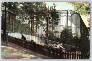 Bear Pit Lexington Park MA Antique Postcard Reicher Bros Germany Unused - Picture 1 of 2