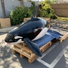 Hanging Baby Orca Whale Life Size Resin Statue Aquatic Animal Display Prop Decor