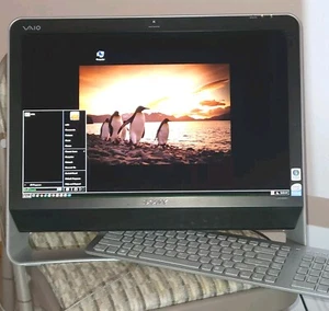 Vintage Sony VAIO PCV-2J Original Owner Tested Working Condition - Picture 1 of 13
