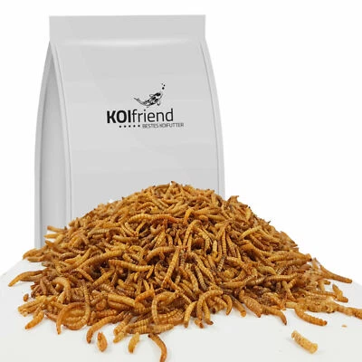 Mehlwürmer getrocknet 0,5 - 20 kg Fischfutter Koifutter Vogelfutter Winterfutter - Bild 1 von 2