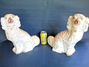 grande Staffordshire españa blanca inglés rey charles manto perros pareja 19c. 13" - Imagen 1 de 20