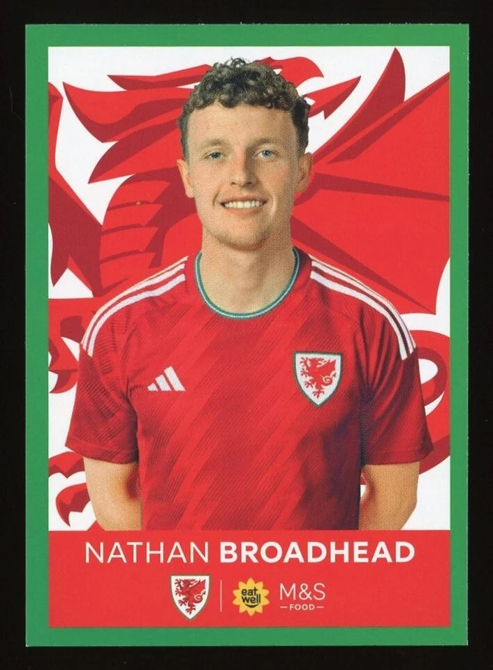 2024 Panini M&S Food Official Cymru Wales Sticker Collection - Pick from List - Image 1 of 1