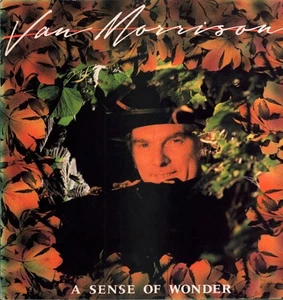 Van Morrison A Sense of Wonder LP vinyl UK Mercury 1984 with inner and A1/B2 - Picture 1 of 6