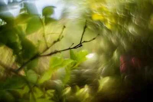 Petzval Modification Helios 44-2 KMZ 58mm/f2 Soviet Lens Dreamy Swirly Bokeh M42 - Picture 1 of 24