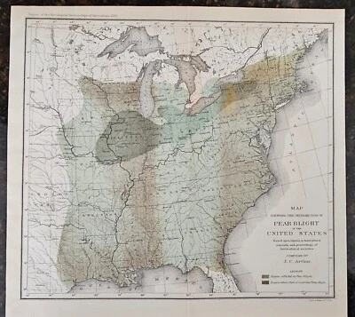 Antiguo mapa de 1886 de distribución de tizón de pera en EE. UU. por J.C. Arthur, 9x9 Foto 1 de 4