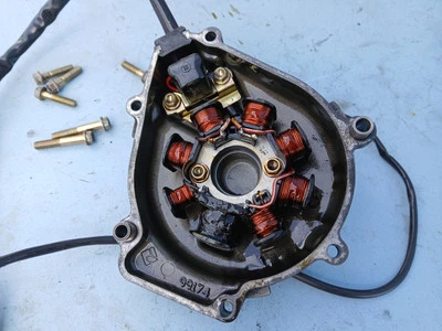 Husqvarna TE SMR 510 2005 06 Estator Volante Cubierta Magnética OEM Original Electrón Foto 1 de 3