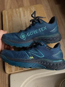 New balance Goretex fresh foamX V12 880 - Picture 1 of 9