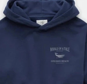 The Summer I Turned Pretty X American Eagle Hoodie LARGE Sold Out - Picture 1 of 4