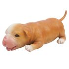 18CM 100% Full Silicone Reborn Dog Doll with Eye Soft Silicone Realistic Toys