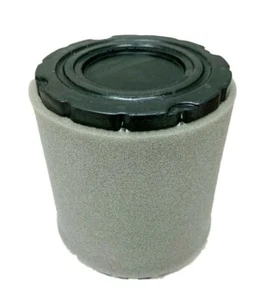 Filtro de aire Archer reemplaza a BRIGGS & STRATTON 798897 794935 44M977 44P977 44Q977 - Imagen 1 de 3