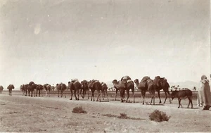 Algerien. Die Wüste Wohnwagen. Foto Citrat 1890. Eugène Michel zugeschrieben. 16,5x26. - Bild 1 von 2
