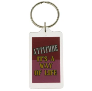 Portachiavi Attitude Its A Way of Life Acrilico Unisex Goth Punk Moda Chiavi NUOVO - Foto 1 di 4