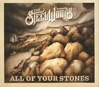 The Steel Woods   All Of Your Stones Cd   Songwriter Outlaw Country Rock