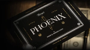 Phoenix by Hanson Chien - Picture 1 of 6