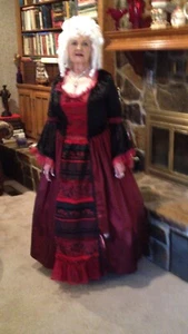 Marie Antoinette Costume with Wig - Picture 1 of 5
