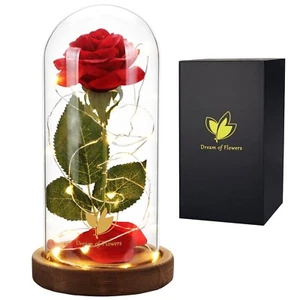 Valentines Gifts for Her Beauty and The Beast Rose,Red Rose in Glass Dome wit... - Picture 1 of 8