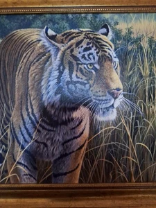 'Hidden Danger' by Stephen Gayford, 2006, Signed Tiger Print, Canvas On Board - Picture 1 of 3