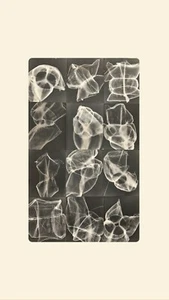 Unique Stitched Print - Cameraless Dark Room Photography 24 x 40 Inches - Picture 1 of 5