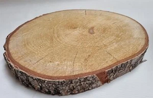 Large Wooden Log Slice Tree Bark Table Centrepiece Unfinished Pyrography Decor - Picture 1 of 7