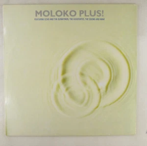12" LP Vinyl Echo E I Bunnymen Moloko Plus! - D197 H8 - Picture 1 of 3