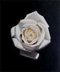 Peinture à l'huile rose blanche unique, qualité peinte à la main 20x24 pouces