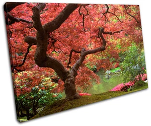 Cherry Blossom Tree Landscapes SINGLE CANVAS WALL ART Picture Print VA - Picture 1 of 1
