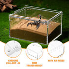  Acrylic Crawling Pet Box Clear Container with Lid Glass Case
