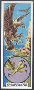 TYPHOO (TEA)-ANIMAL OFFENCE & DEFENCE 1928-#02- EAGLE  - Picture 1 of 2