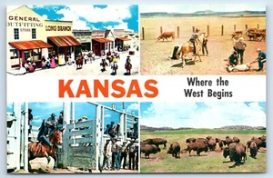 Banner blanco de Kansas con rodeo, marca de terneros y postal de búfalo - Imagen 1 de 2